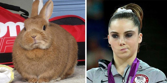 This Bunny Looks Like Mckayla Maroney