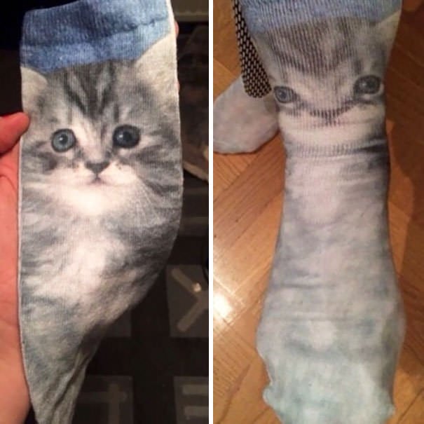  Kitten Socks