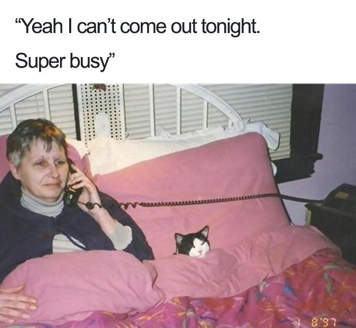 Funny introvert memes