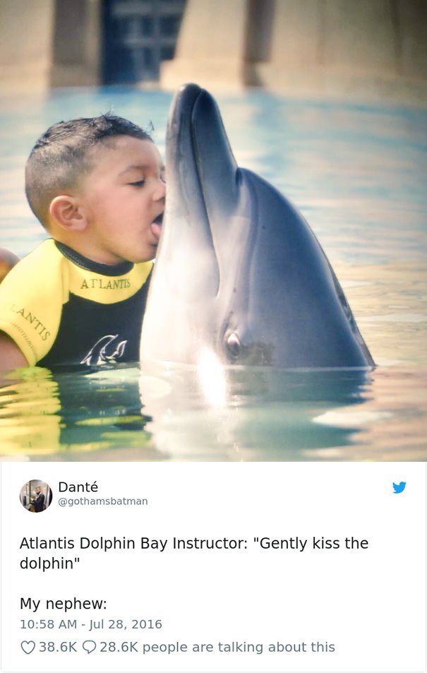 "Gently Kiss The Dolphin"