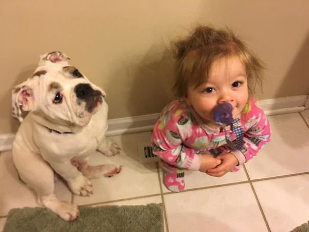 My Daughter And My Puppy Fight Over Who