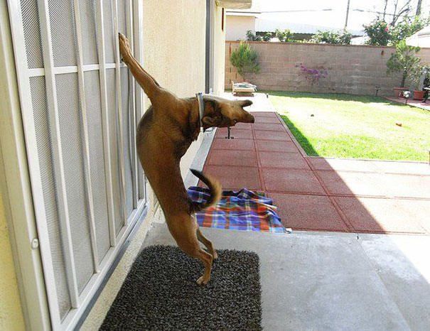 Oh God! Let Me In! Noooooooooow!!!!