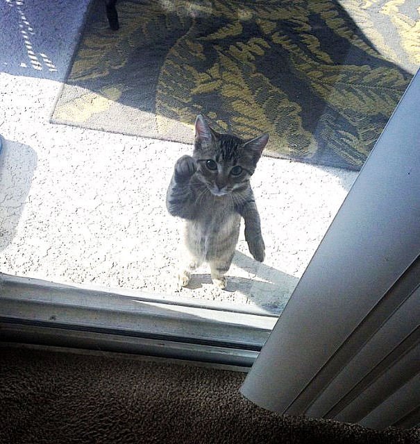  Let Me In