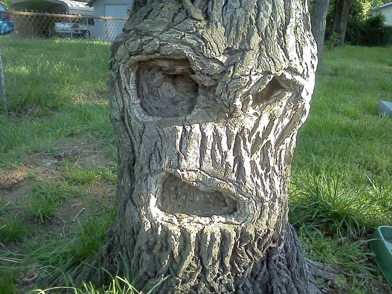 grumpy-tree-get-off-my-lawn