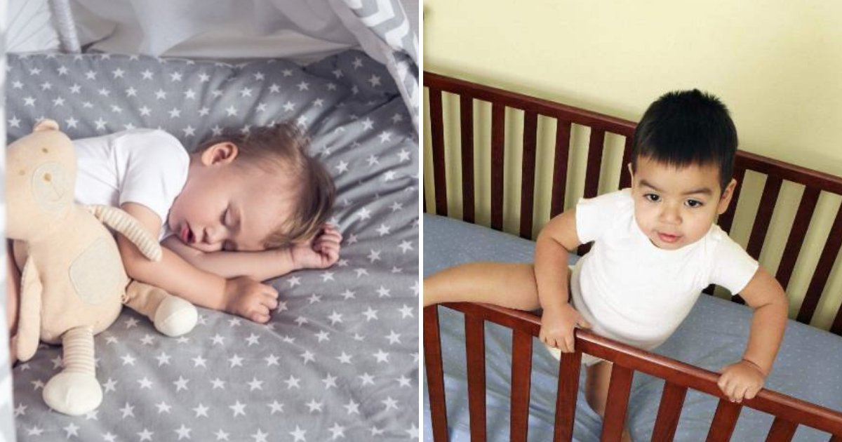 cot6.png?resize=1200,630 - Toddlers Should Sleep In A Cot Until They Are 3 Years Old, Experts Claimed