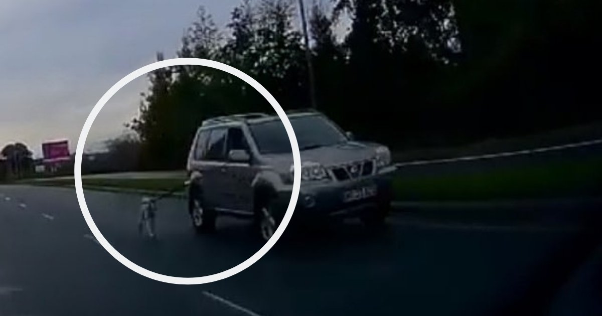 d4 3.png?resize=1200,630 - Un cycliste filme un homme qui promène son chien de la fenêtre de sa voiture sur une autoroute