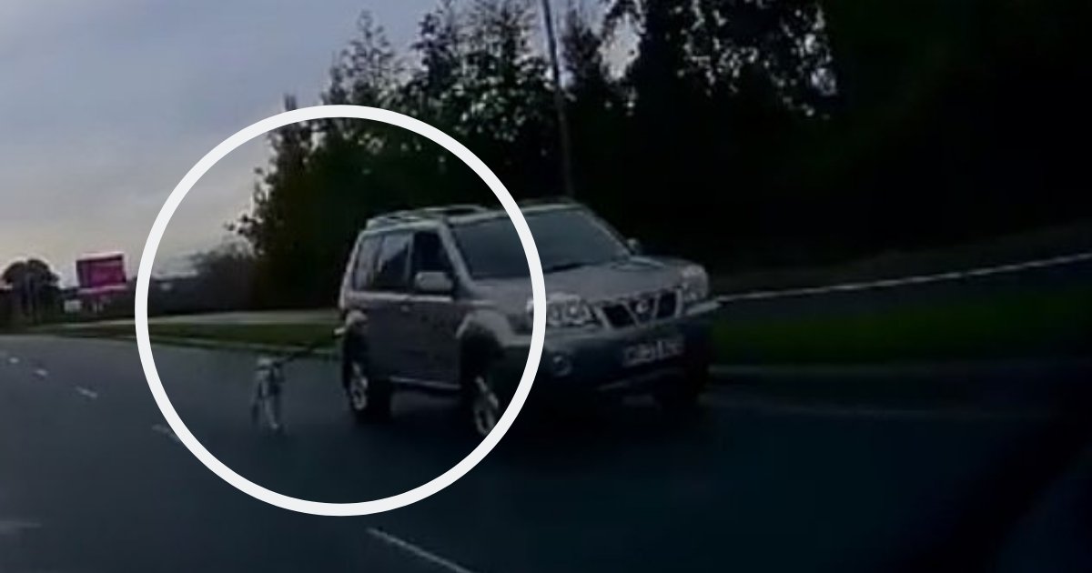 d4 3.png?resize=412,232 - Un cycliste filme un homme qui promène son chien de la fenêtre de sa voiture sur une autoroute