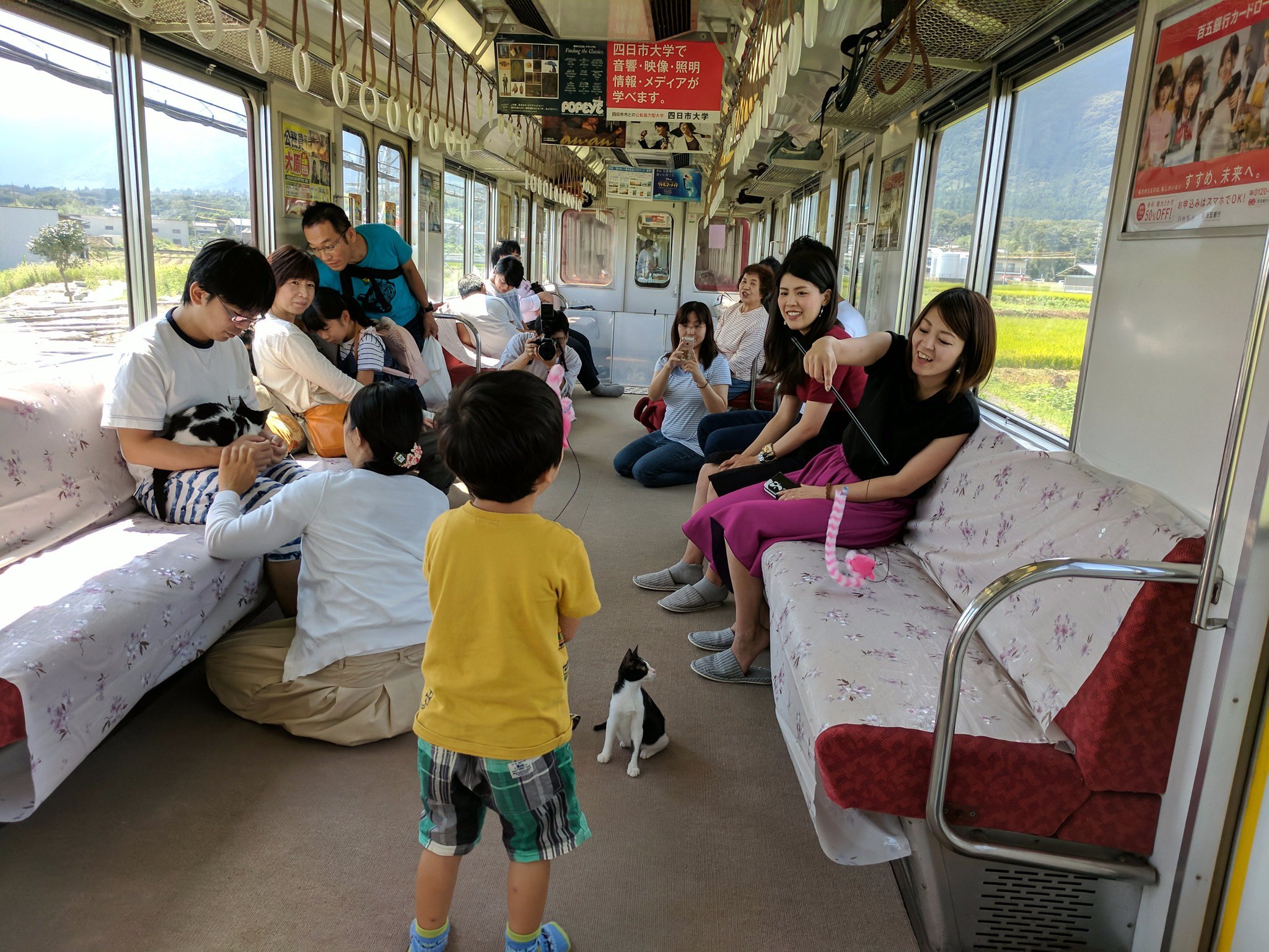djwjbeuv4aapp3p.jpg?resize=1200,630 - Au Japon, des chats prennent le train avec les passagers pour inciter à l'adoption.