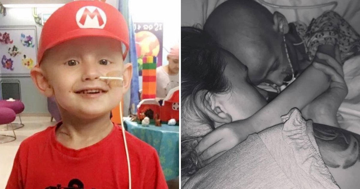 dog6.png?resize=1200,630 - Un garçon de 5 ans atteint d'un cancer présente ses excuses à sa mère avant de mourir dans ses bras