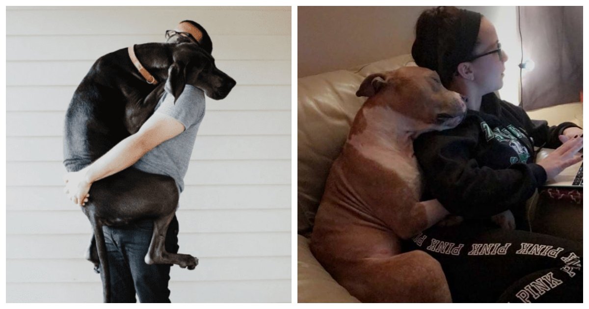 hugs1.jpg?resize=1200,630 - 35 Times Humans Went To Hug Their Dogs And Got Way More Than They Asked For