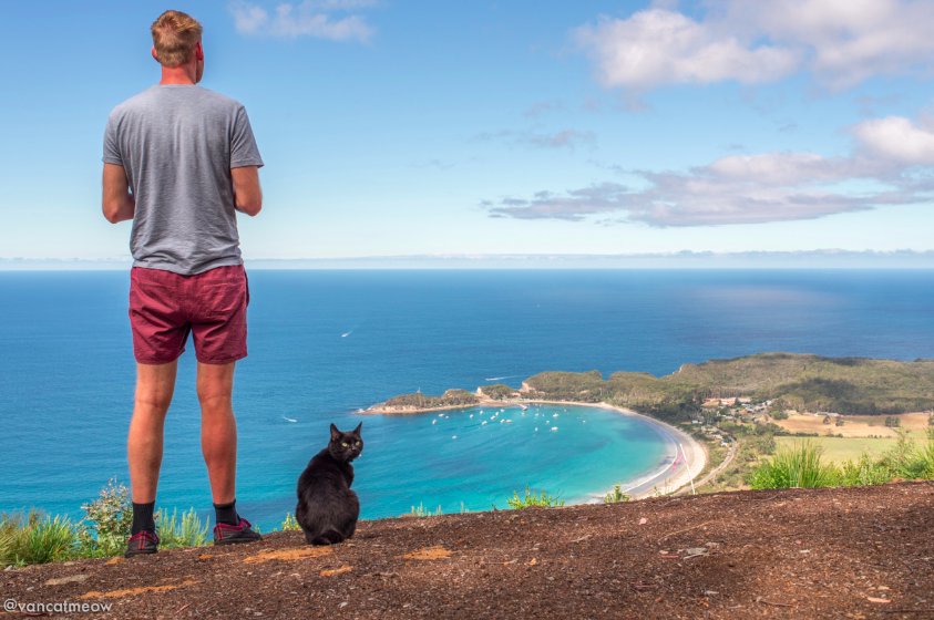 img 5bfec57a64d8a.png?resize=1200,630 - Comment un homme a quitté son travail pour voyager en Australie avec son chat