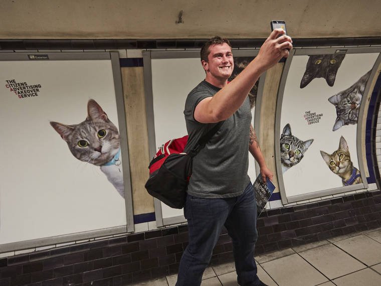 photos chats metro 9.jpg?resize=412,275 - [Photos] Quand les chats envahissent le métro londonien.