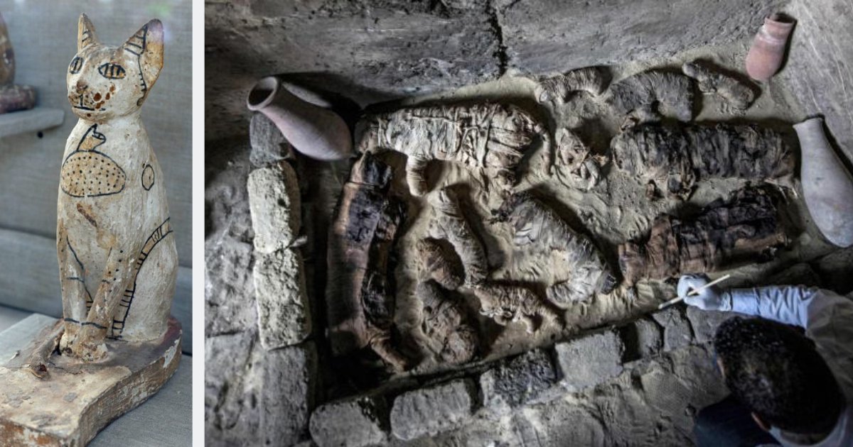 untitled design 1 1.png?resize=1200,630 - Des momies de chats et de scarabées rares trouvés dans des tombeaux égyptiens