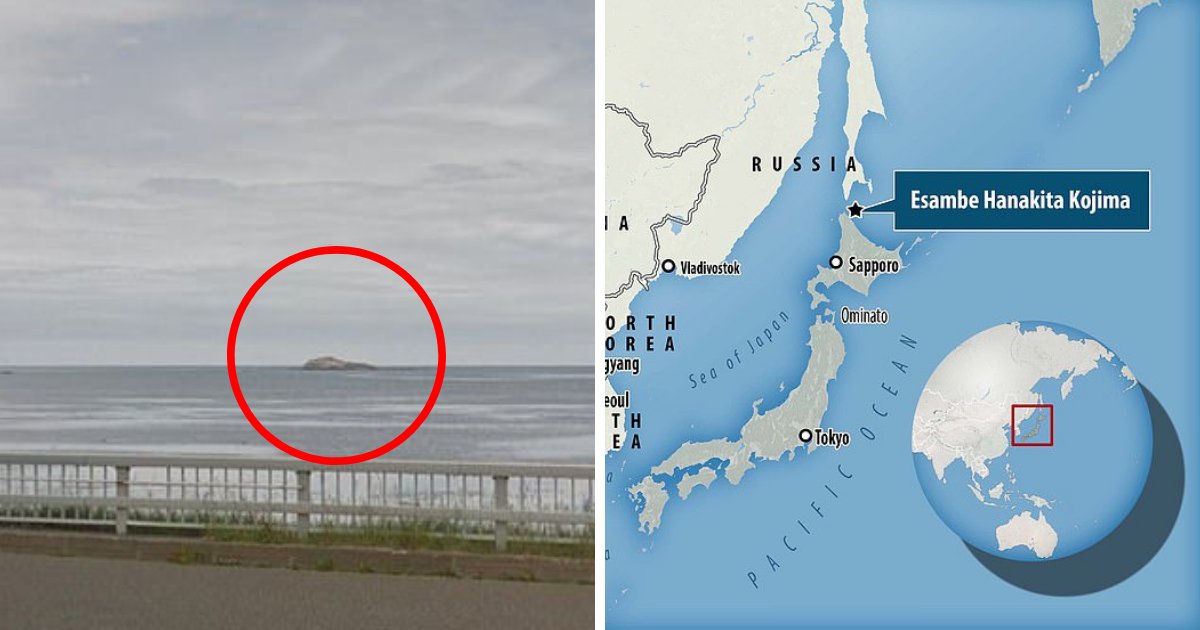 untitled design 62.png?resize=1200,630 - Une île de 5 mètres de haut rayée de la carte au Japon!