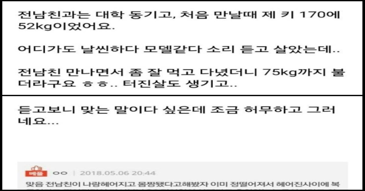 1051272layout 2018 12 27.jpg?resize=412,275 - 전 남친이 살 빼라고 해서 20kg 뺀 후기