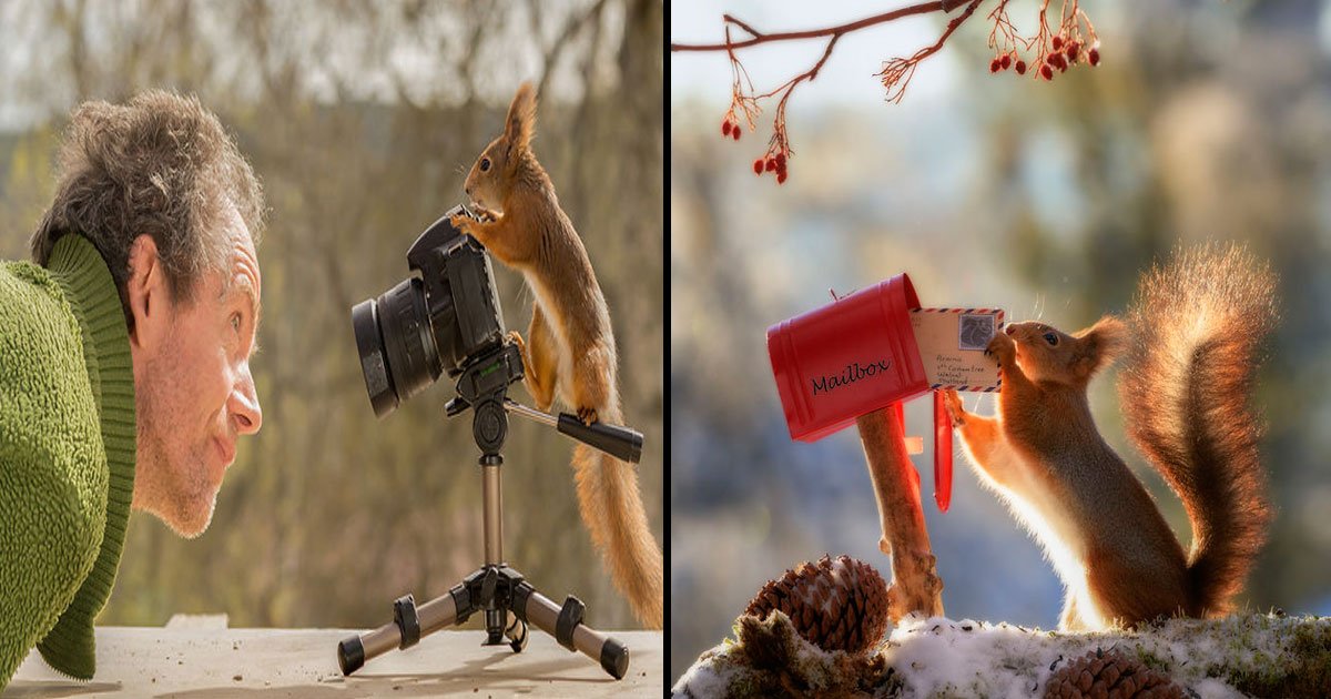 16 5.jpg?resize=412,232 - Un photographe de renommée internationale a suivi des écureuils avec sa caméra tous les jours pendant 6 ans et il a capturé des images étonnantes