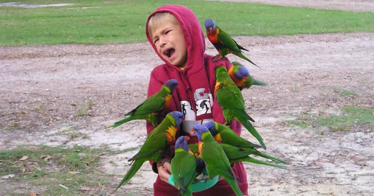 2 2.jpg?resize=412,232 - 30 Funny Photos Of Birds Being Total Jerks, #9 Is Hilariously Rude.