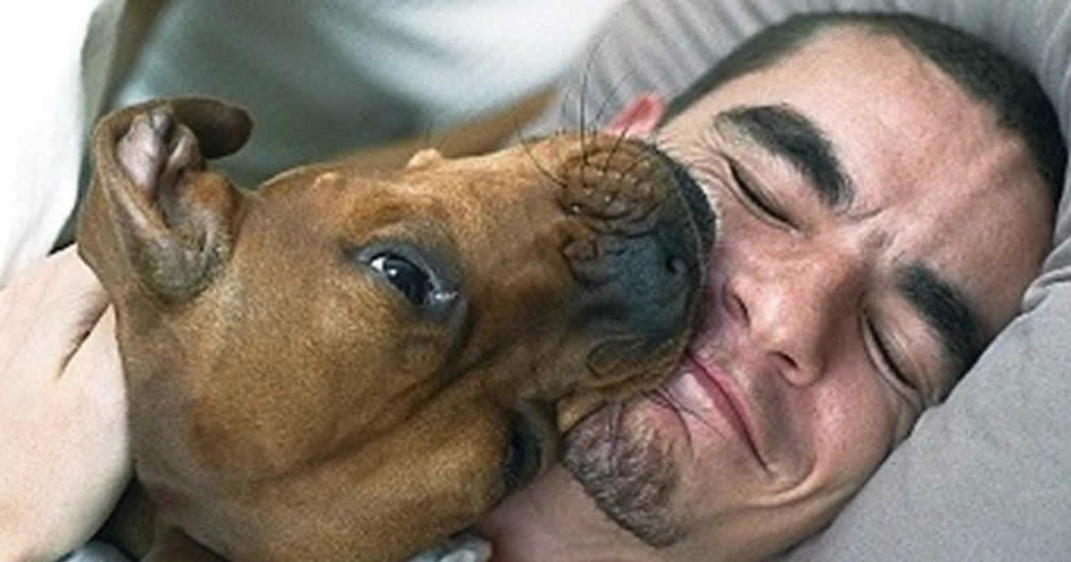 4 75.jpg?resize=412,275 - 35+ Hysterical Photos That Only Dog Owners Will Understand