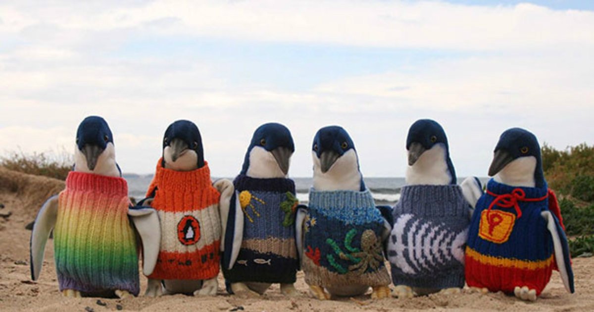 8 4.jpg?resize=412,232 - 22 Adorable Animals Wearing Miniature Sweaters Ready for Winter Time