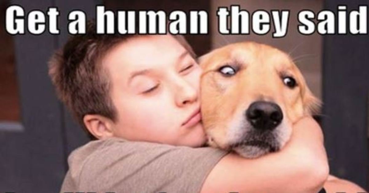 9 45.jpg?resize=412,232 - 50 Hilarious Dog Memes That Will Brighten Up Your Day