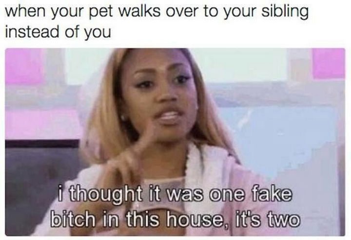 19 Photos of Growing Up With Siblings - When you make your pets choose.