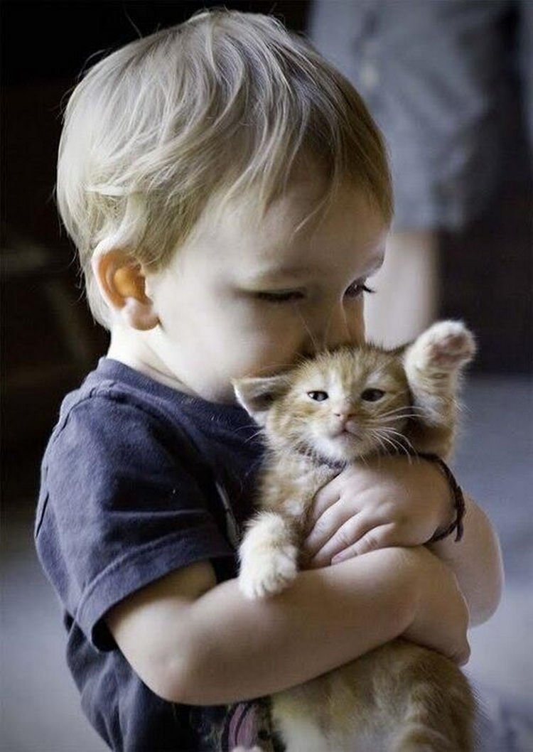 21 Cats Babysitting Babies - Hugs and kisses.