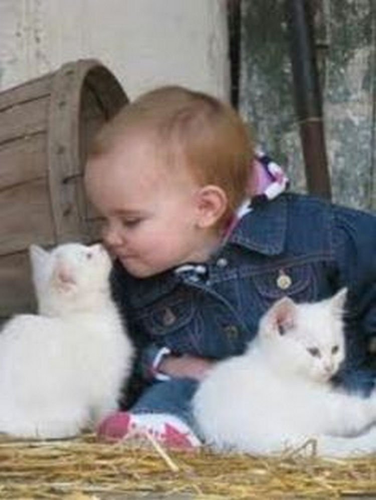 21 Cats Babysitting Babies - "Give me a kiss little cutie."