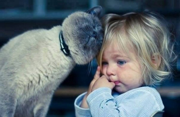 21 Cats Babysitting Babies - "I feel so safe next to you."