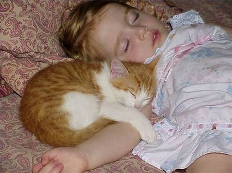 21 Cats Babysitting Babies - "I could stay like this all day."