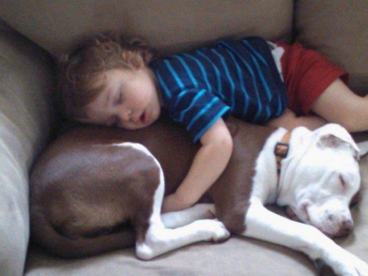 25 Kids Sleeping in the Strangest Places - Best friends forever.