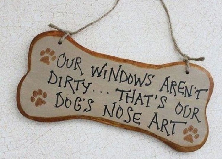30 Things Only Dog Owners Will Understand - They love looking out the window.