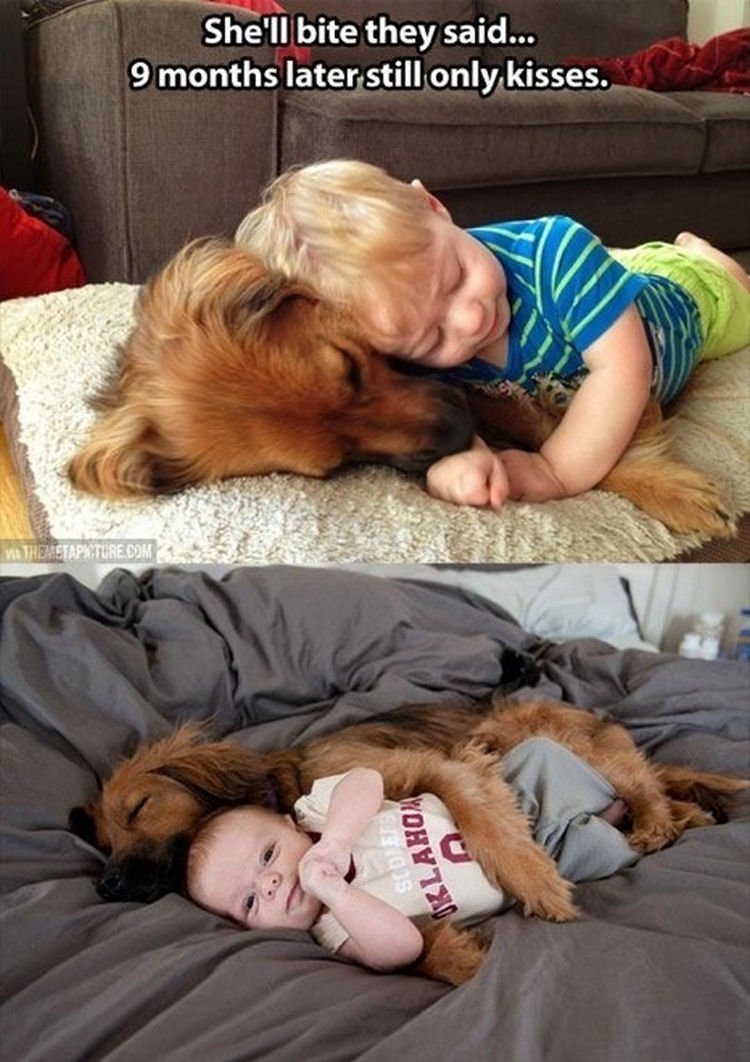 30 Things Only Dog Owners Will Understand - Dogs love kids.
