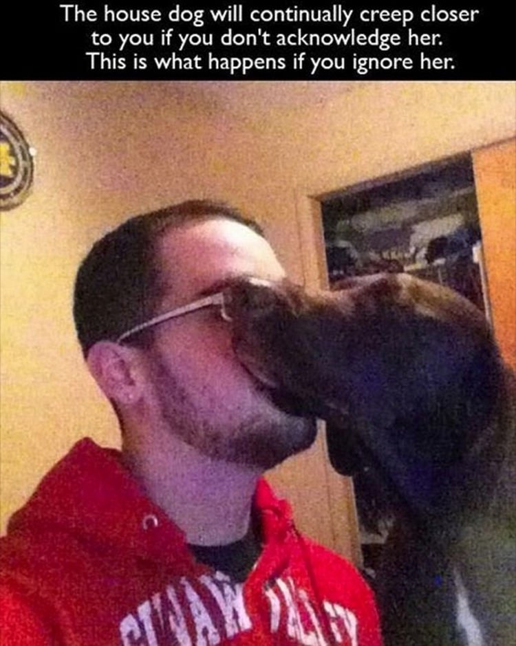 30 Things Only Dog Owners Will Understand - Get ready for dog smooches.
