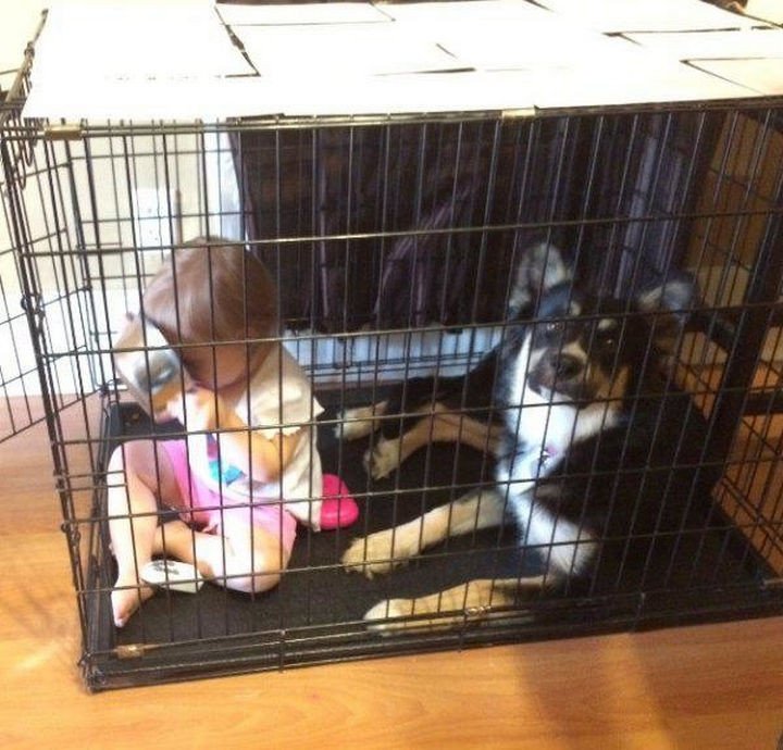 33 Reasons to Be Happy If You Are Not a Parent - Your pets won