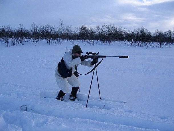arctic sniper