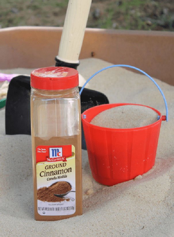 Sprinkle Some Cinnamon In A Sandbox To Keep Bugs Away