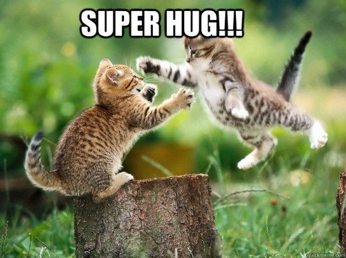 super hug_tn