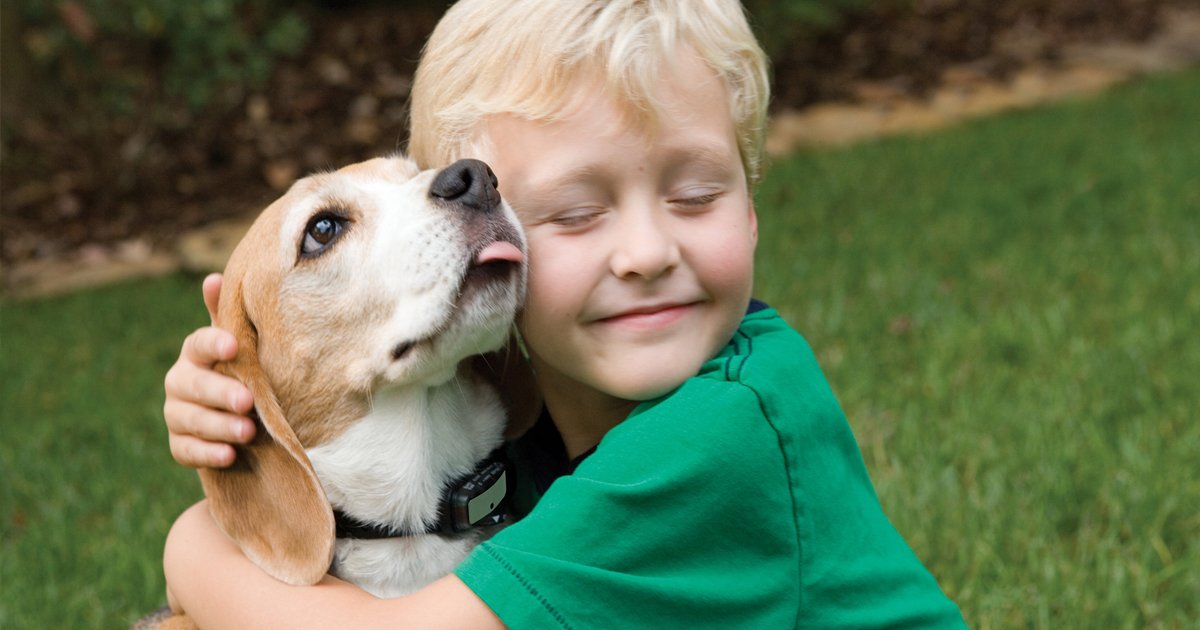 capa1 16.jpg?resize=412,275 - Seleção de imagens mostra por que toda criança precisa de um cachorro