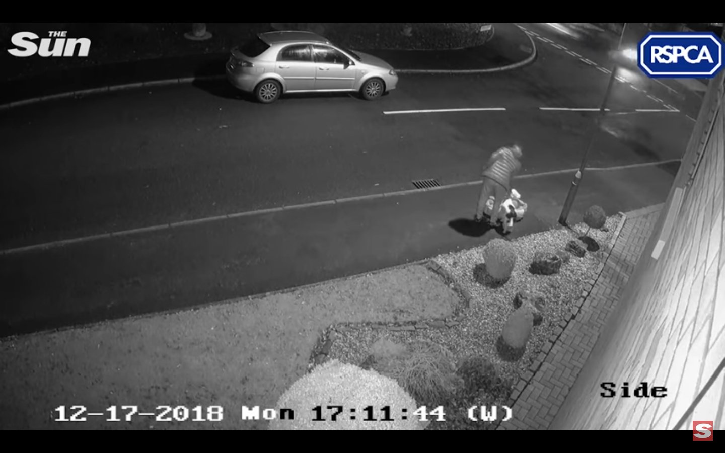 capture decran 2018 12 26 a 11 01 30.png?resize=412,232 - [Vidéo] Un chien tente désespérément de retourner dans la voiture de son maître qui l'abandonne dans la rue