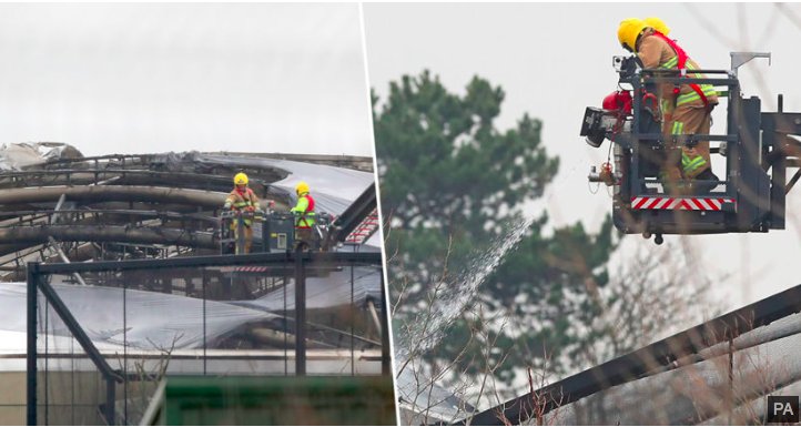 img 5c1b7d93e3fce.png?resize=1200,630 - Des animaux ont été tués dans un énorme incendie au zoo de Chester