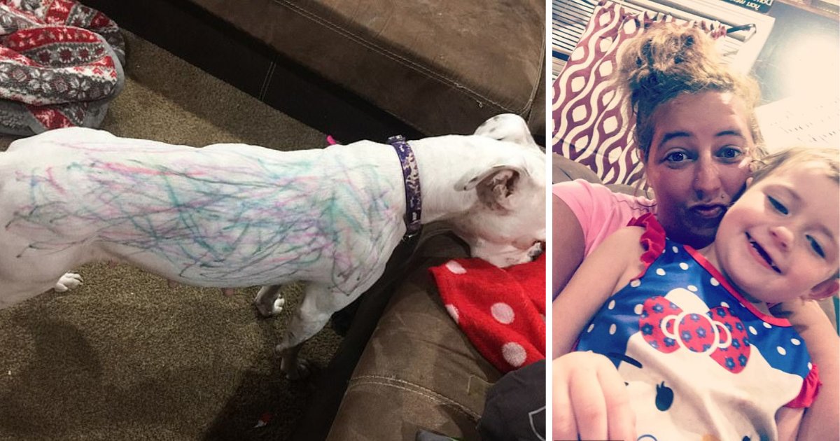 s3 6.png?resize=412,232 - Her Daughter Covered Their White Boxer in All the Colors She Had