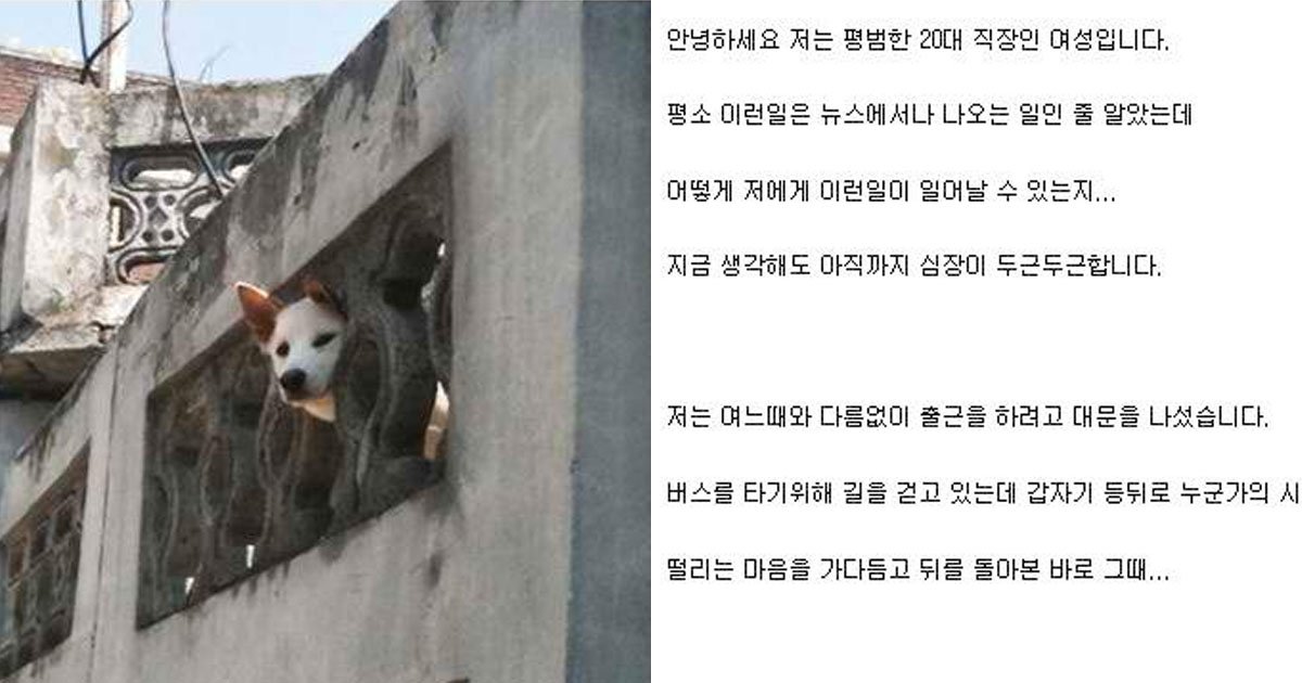 "매일 아침 한 남자가 출근길을 훔쳐봐요" 11 16.jpg?resize=1200,630 - "매일 아침 한 남자가 출근길을 훔쳐봐요"