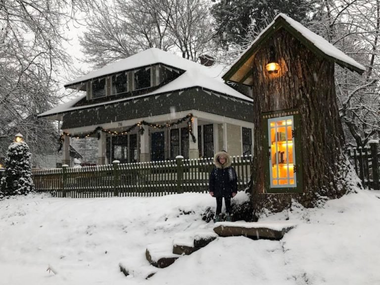 Image may contain: snow, tree, house, sky, outdoor and nature