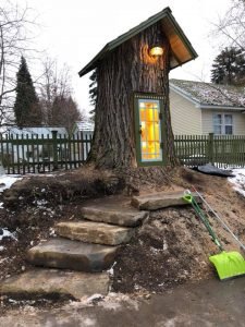 Image may contain: tree and outdoor