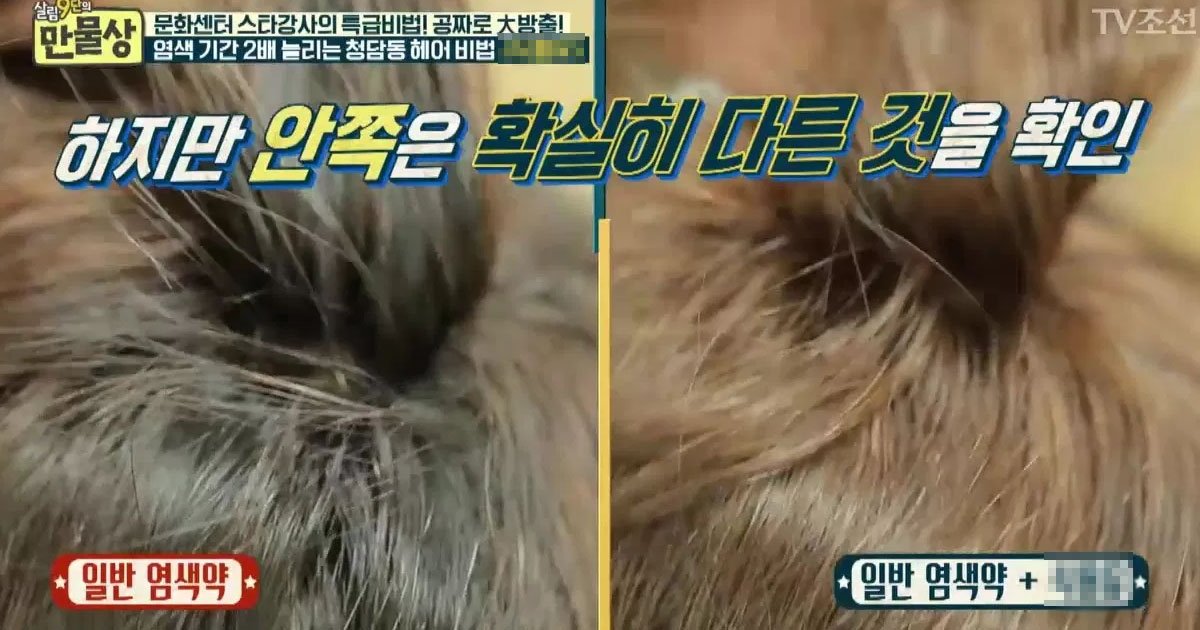 집에서 '염색'할 때 오래 유지하는 청담동 꿀팁 9 16.jpg?resize=1200,630 - 집에서 '염색'할 때 오래 유지하는 청담동 꿀팁