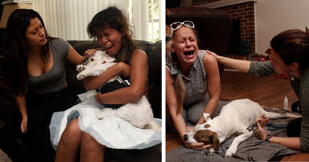 d2 10.png?resize=412,275 - Un photographe capture le chagrin des propriétaires d'animaux lorsqu'ils perdent leur animal pour toujours