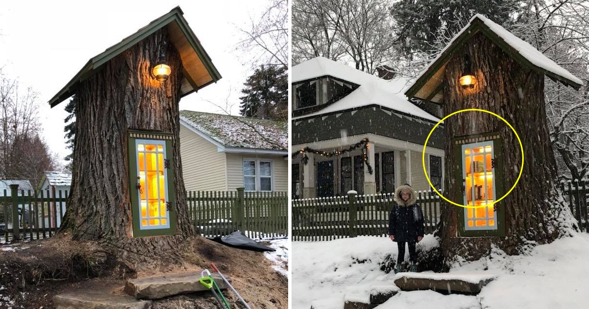 gdg.jpg?resize=1200,630 - Un arbre mort de 110 ans transformé en une bibliothèque et c'est le rêve de tous les amoureux de la lecture.