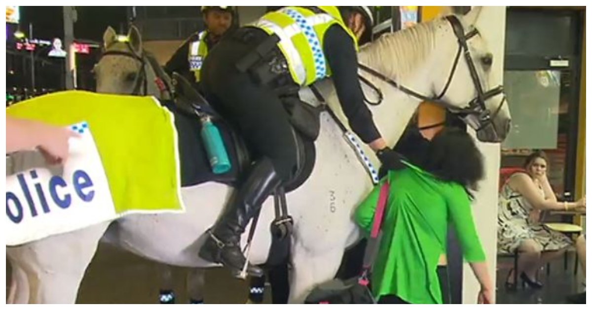 horse.jpg?resize=412,275 - Une femme jeté à terre par un officier de police après qu'elle est voulu frapper son cheval