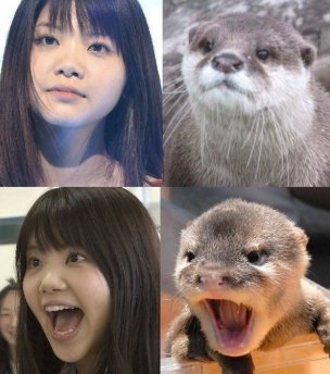吉岡聖恵の結婚妊娠騒動はガセネタだった その真相は Hachibachi 吉岡聖恵の結婚妊娠騒動はガセネタだった その真相は Hachibachi