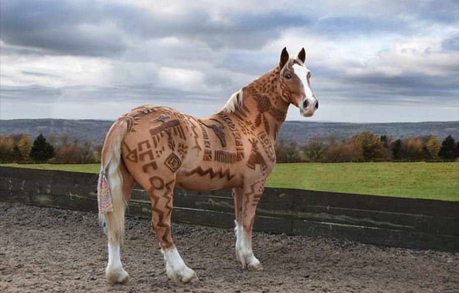 des chevaux comme toile pour dessiner des coupures